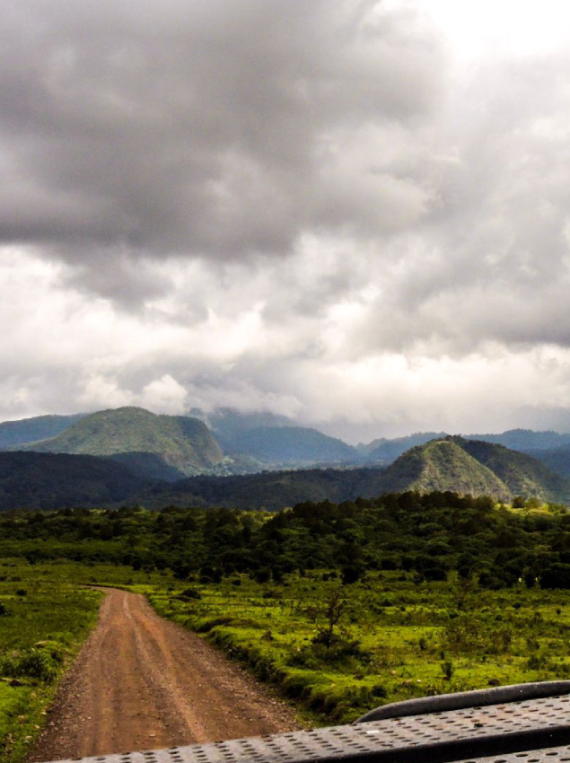 Wet Season in Arusha National Park