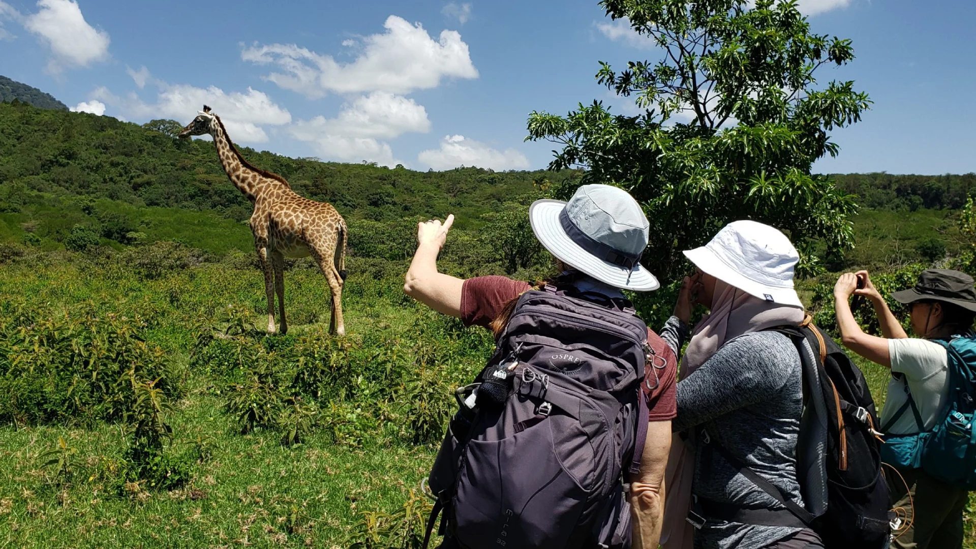 Arusha National Park Wildlife Sigghtning