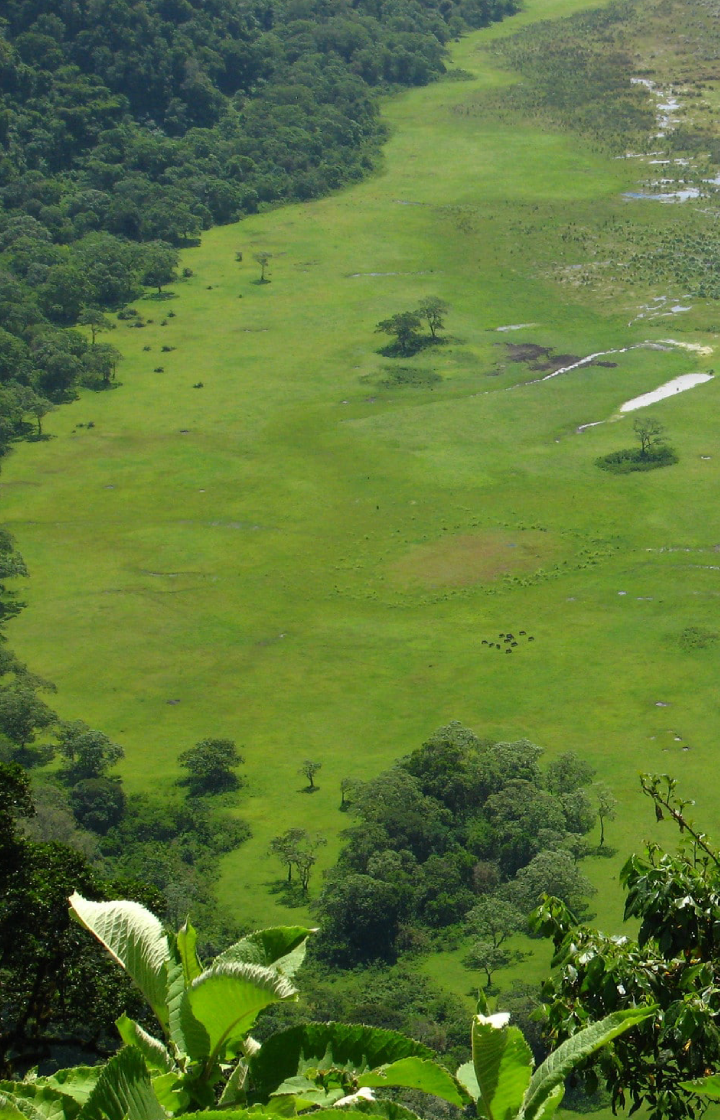 Ngurdoto Crater Exploration
