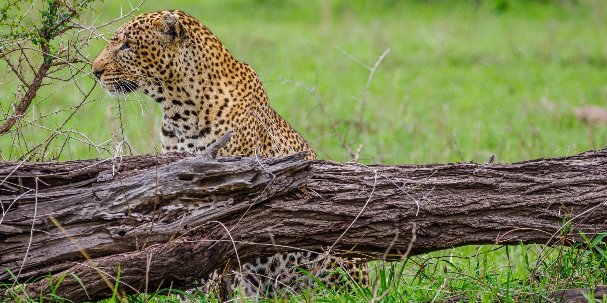 Arusha National Park