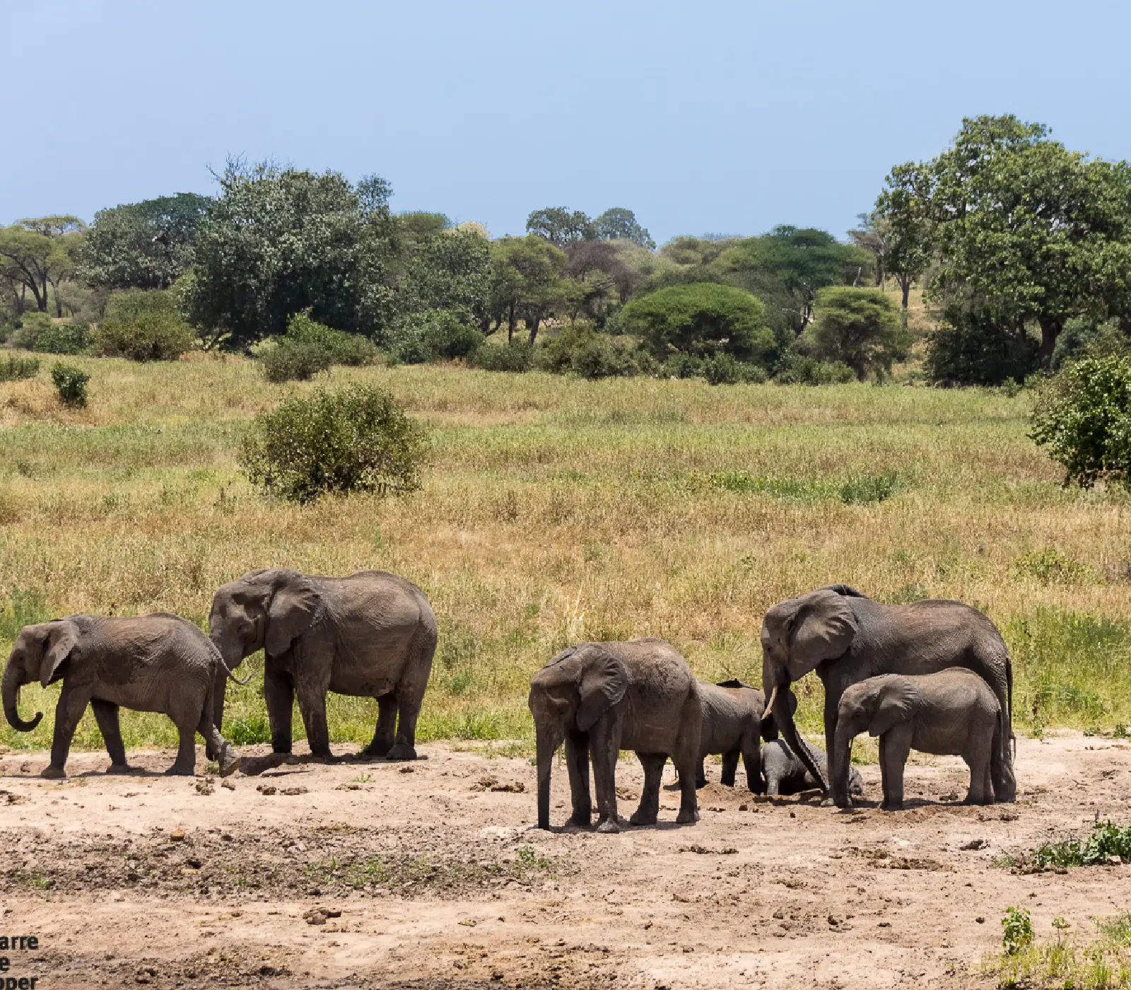 Arusha National Park Day Trip Attraction
