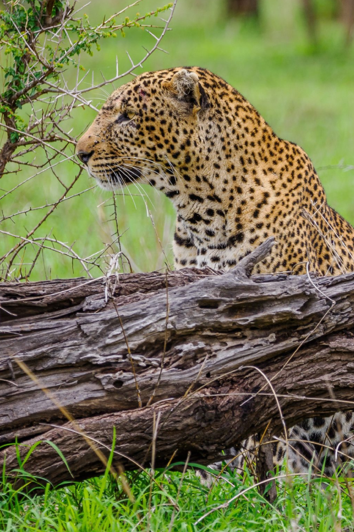 Tanzania Destinations Arusha National Park