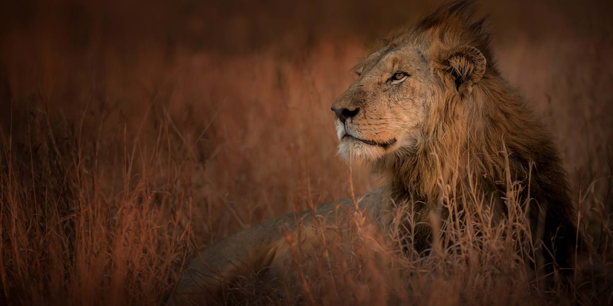 Melodica Africa Tours and Safaris