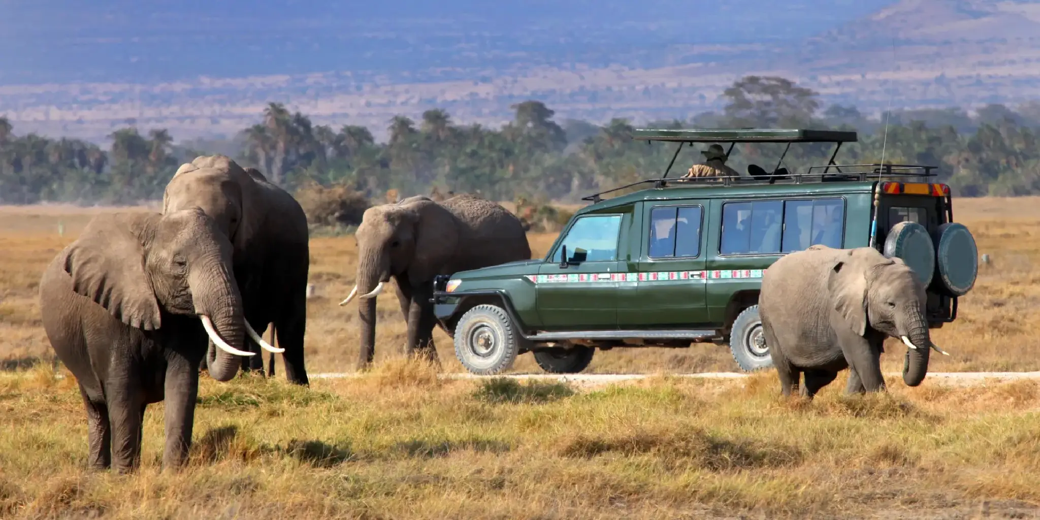 Best Time To Travel To Kenya