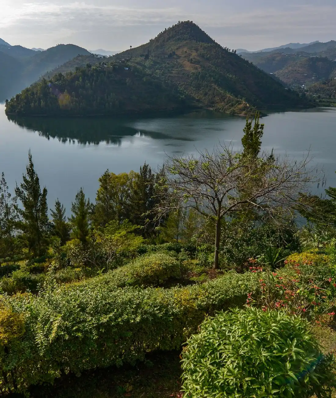 Best Time To Travel To Rwanda