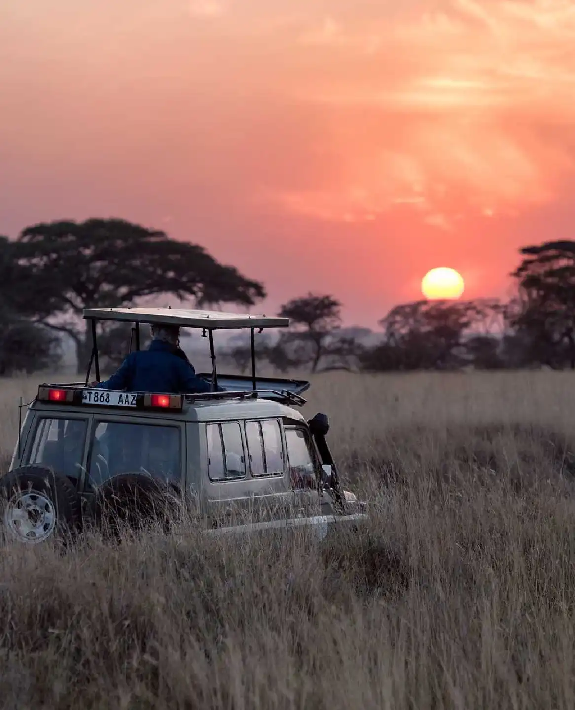 Best Time to Travel to Tanzania