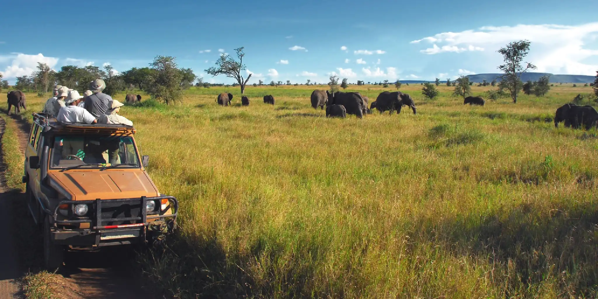 Best Time to Travel to Tanzania