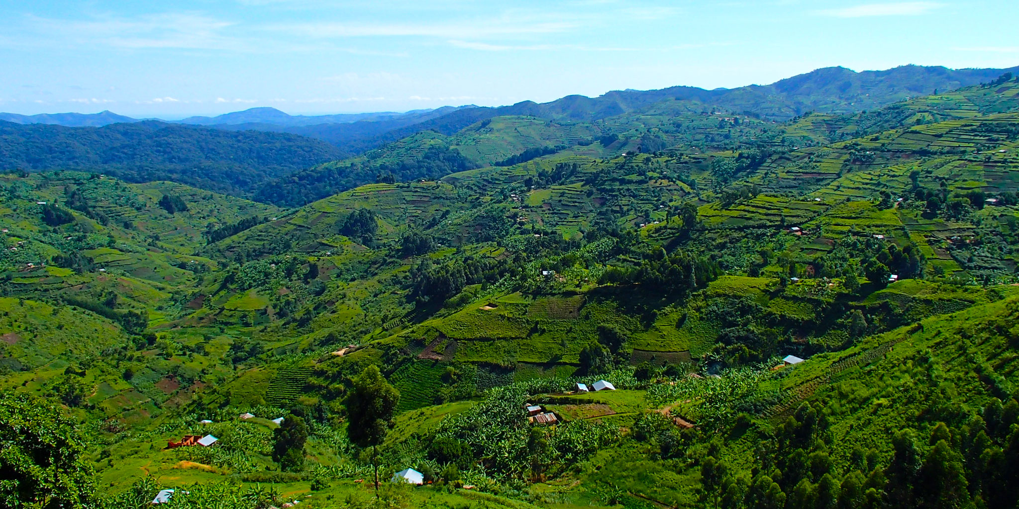 Best Time To Travel To Uganda