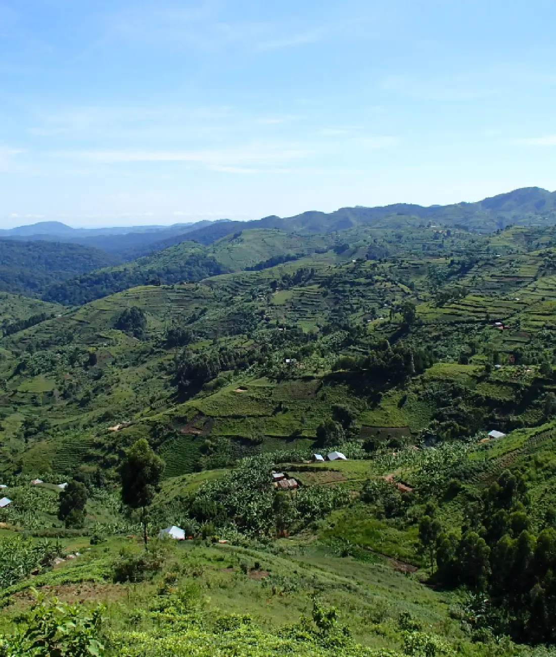 Best Time To Travel To Kenya