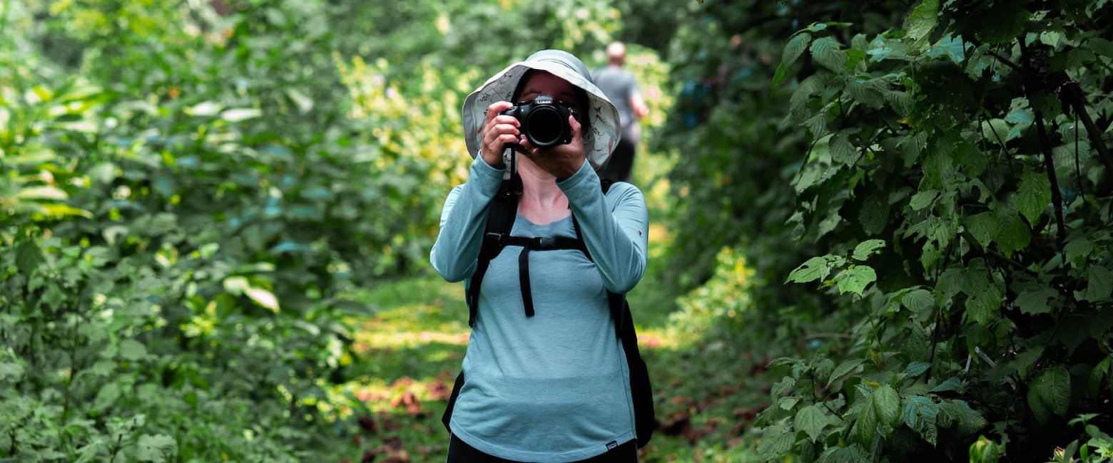Bwindi Impenetrable National Park Photography