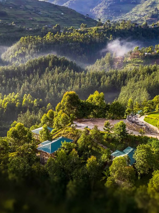 Bwindi Impenetrable National Park Dry Season