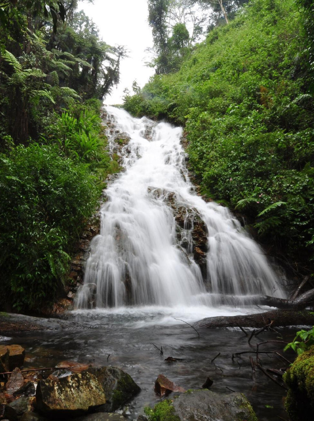 Bwindi Impenetrable National Park Wet Season