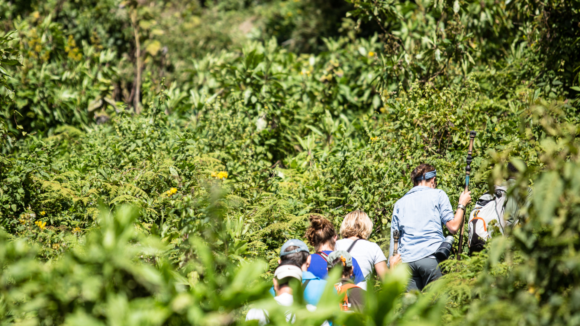 Bwindi Impenetrable National Park Attractions