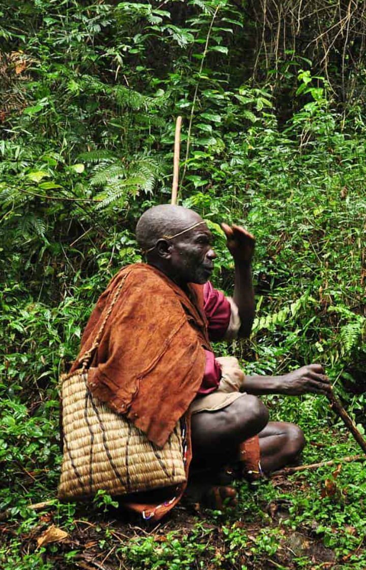 Bwindi Impenetrable National Park Cultural Encounters