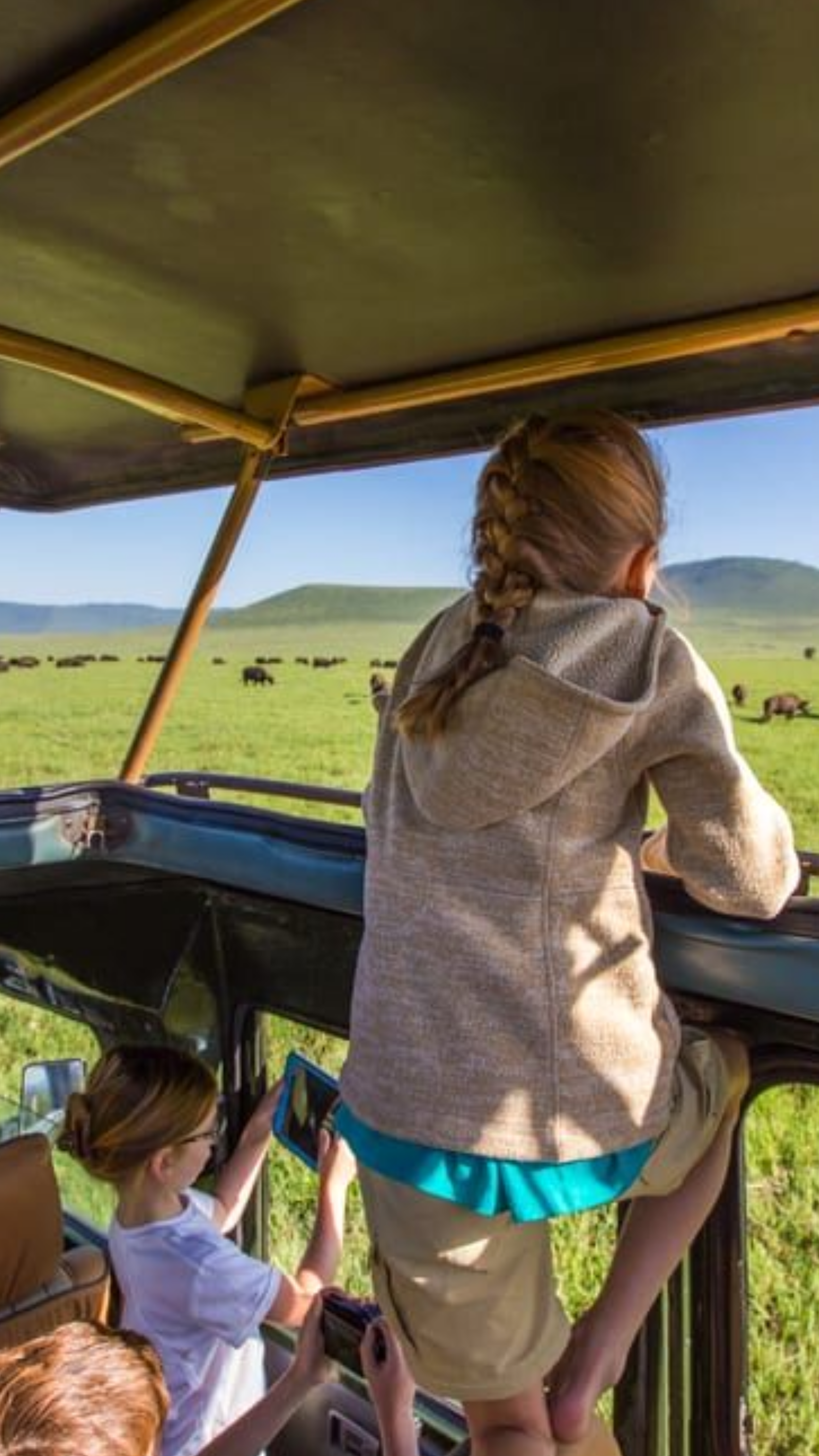 East Africa Safari Experience Wildlife