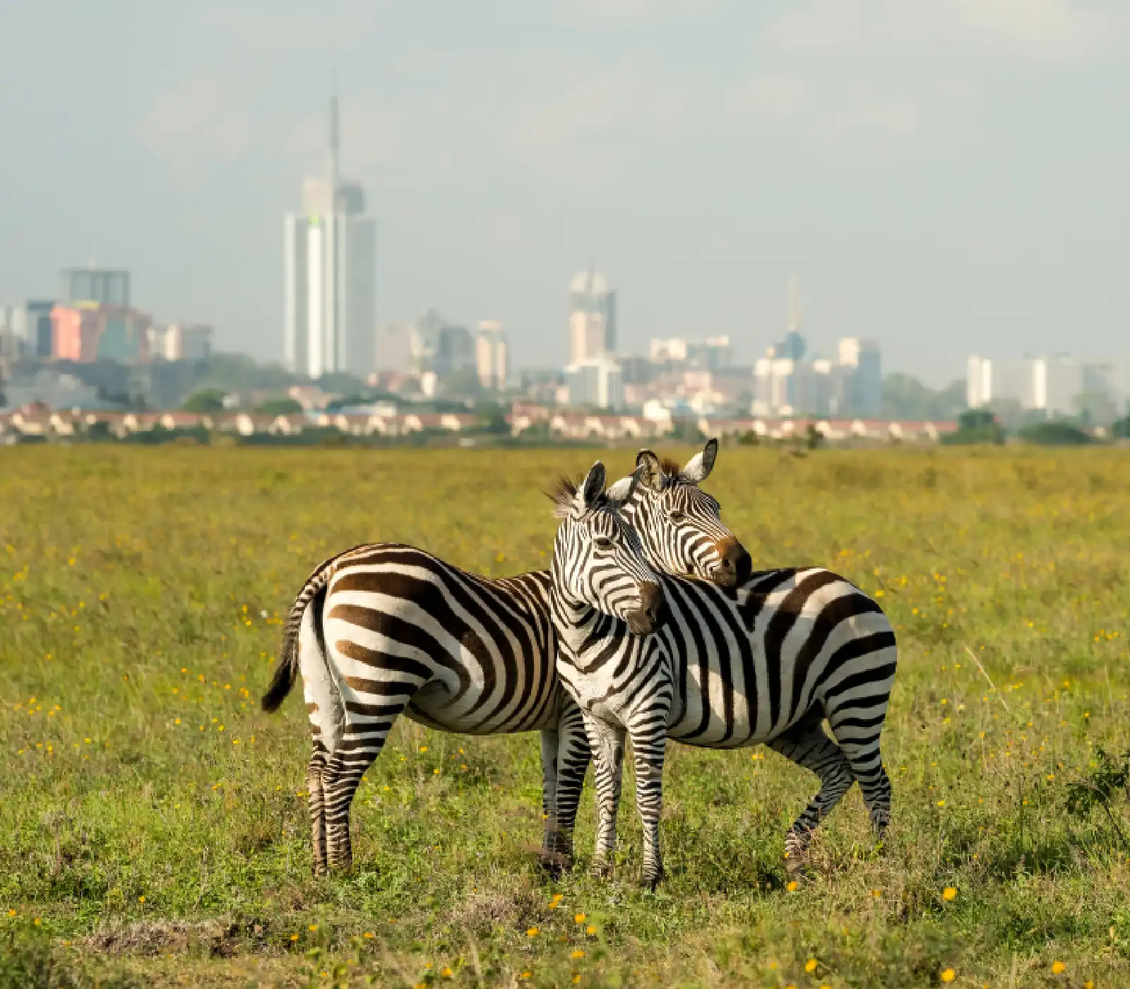 Full-Day Nairobi City Tour Combo attractions