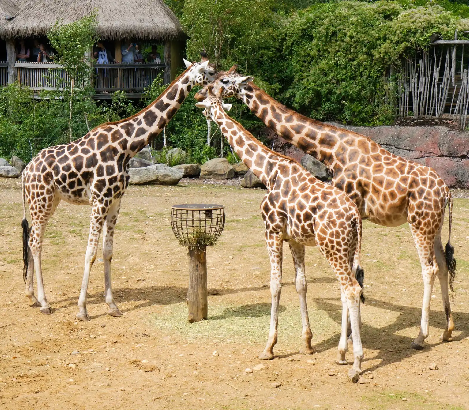 Full-Day Nairobi City Tour Combo attractions