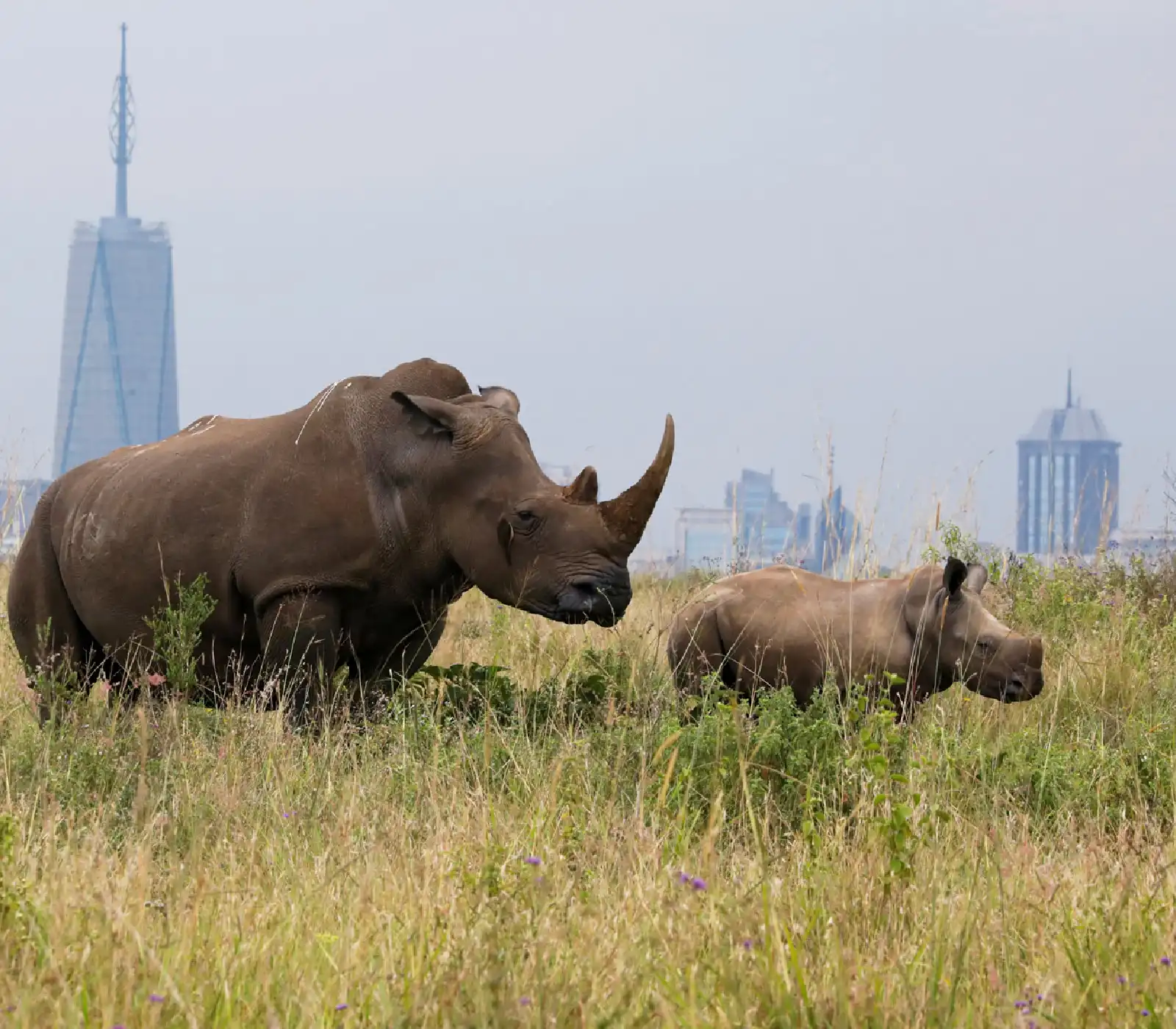 Full-Day Nairobi City Tour Combo attractions