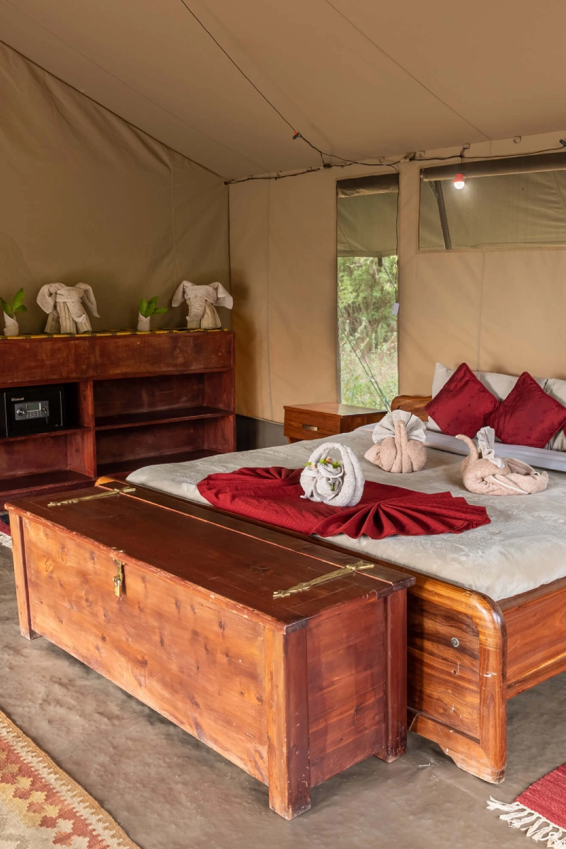 Hammerkop Migration Camp