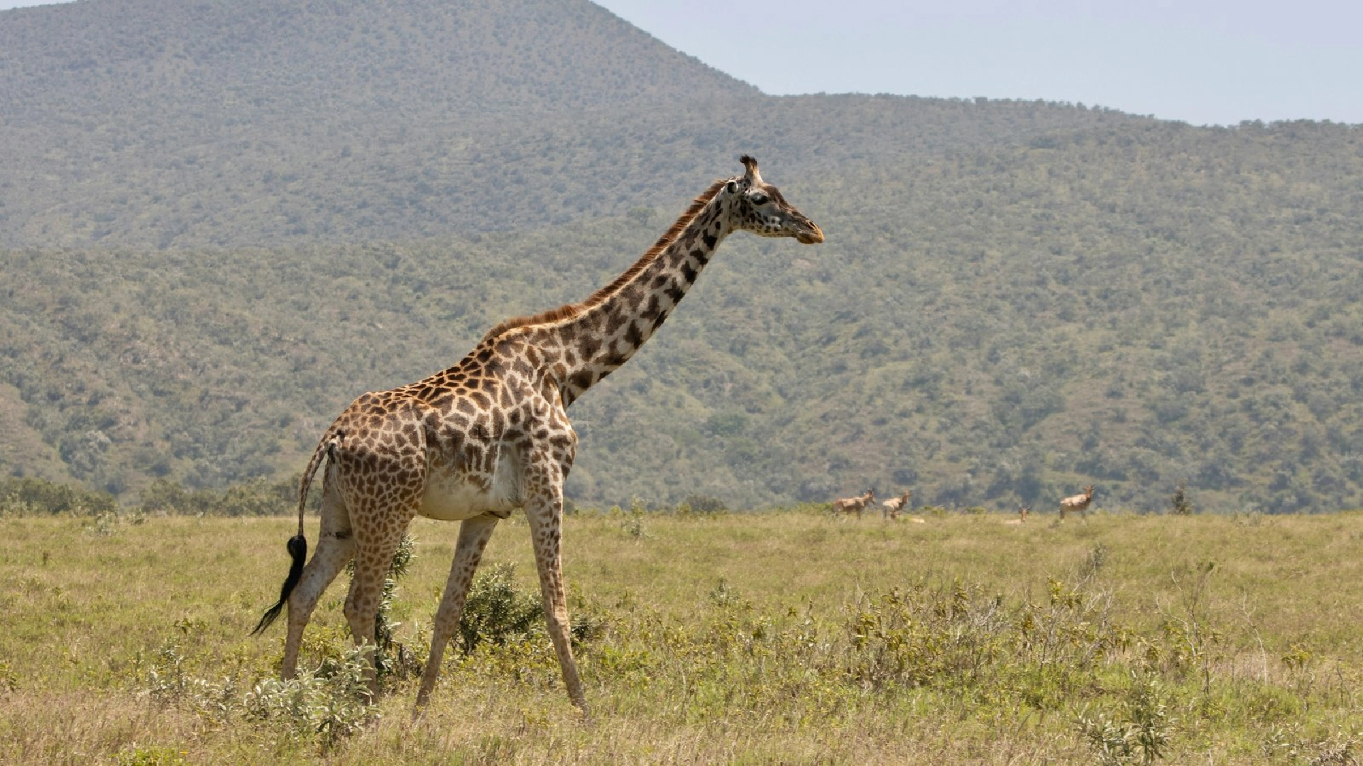 Hell’s Gate National Park Attractions
