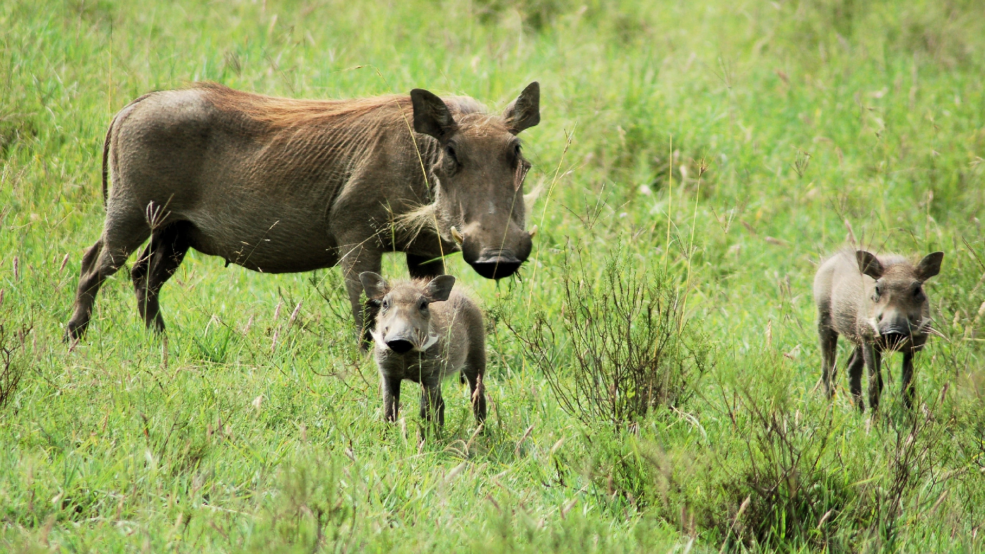 Hell’s Gate National Park Attractions