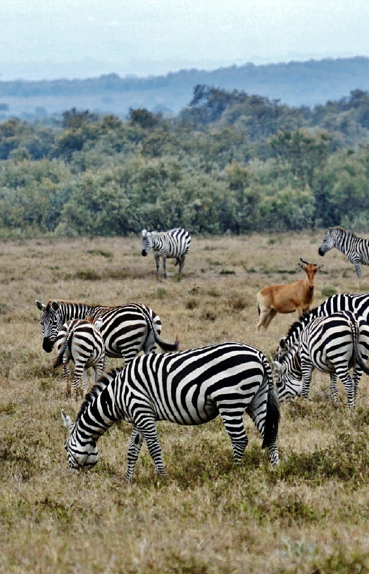 Hell’s Gate National Park Photography and Wildlife Spotting