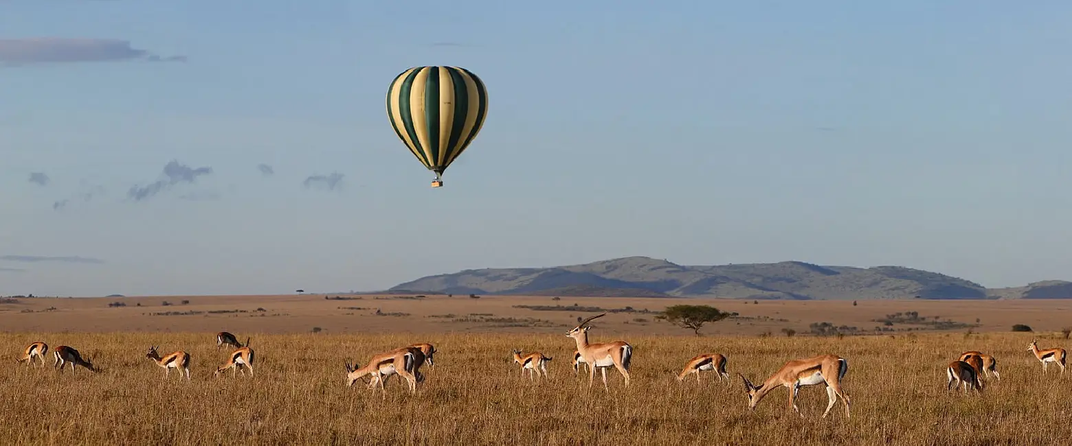 Hot Air Balloon Safari Wildlife