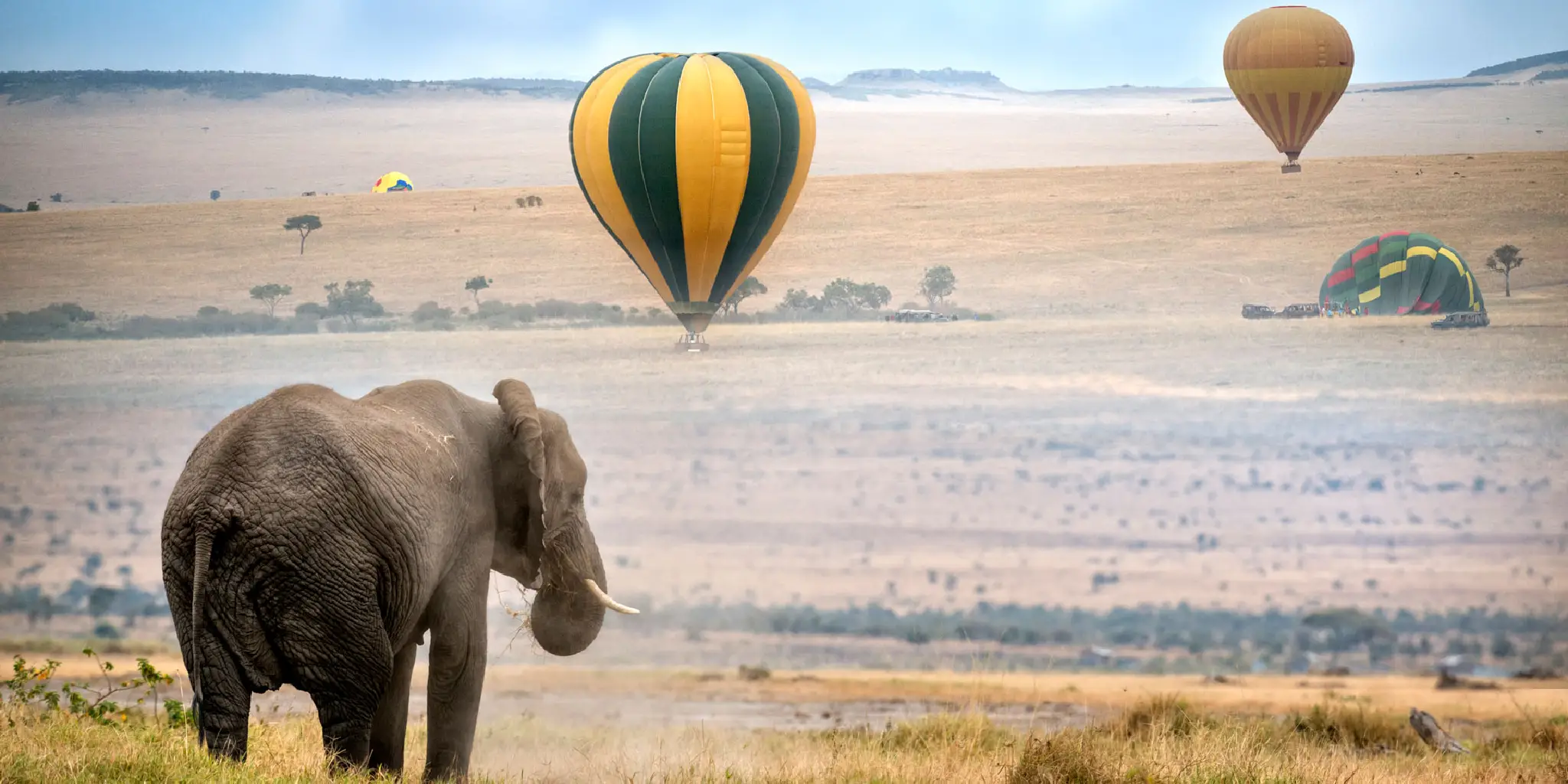 Hot Air Balloon Safari