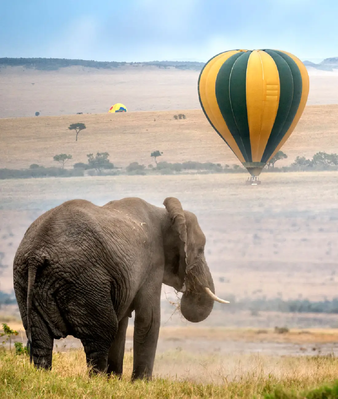 Hot Air Balloon Safari