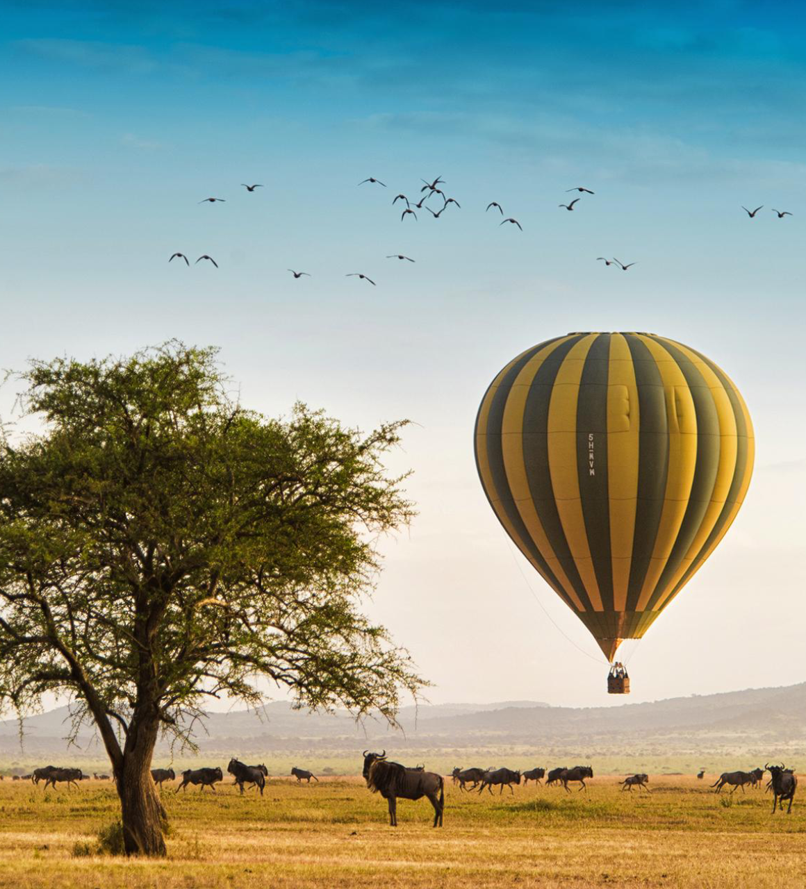 East Africa Safari Experience Hot Air Balloon Safari
