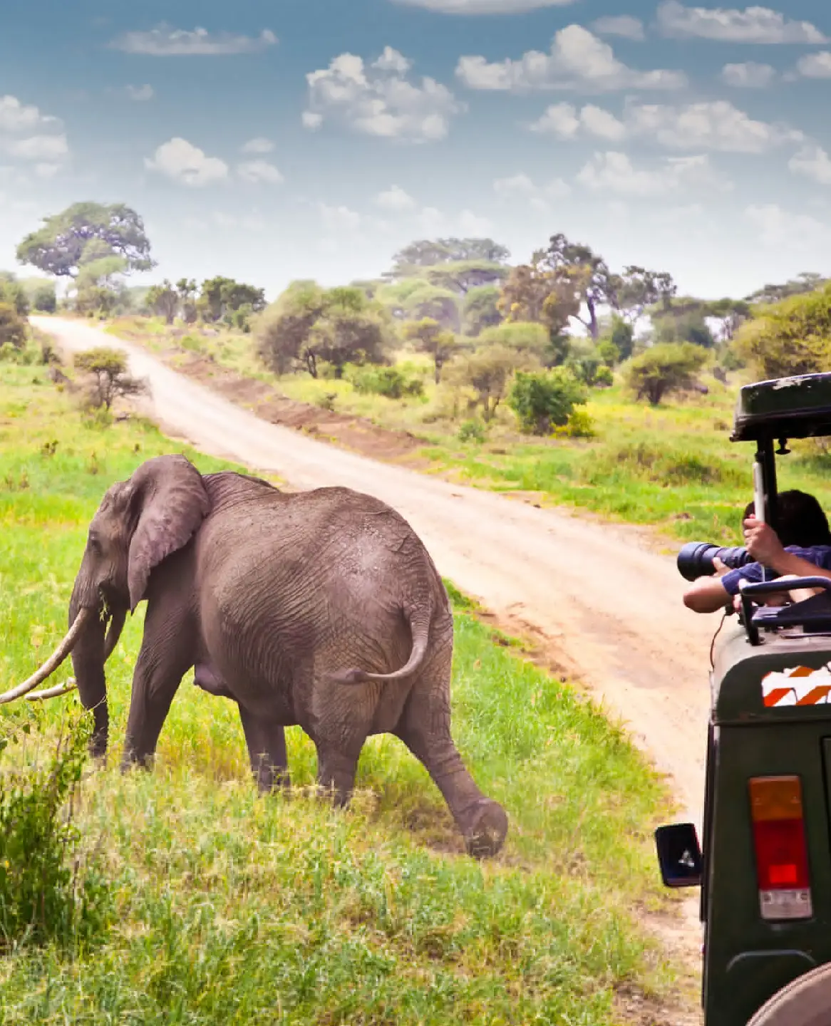 Is Kenya Safe to Travel? Attraction