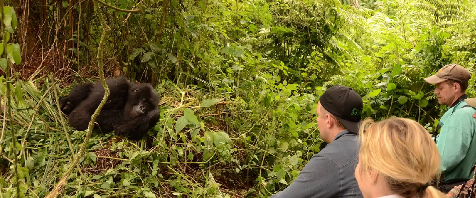 Is Rwanda  Safe to Travel Photography ?