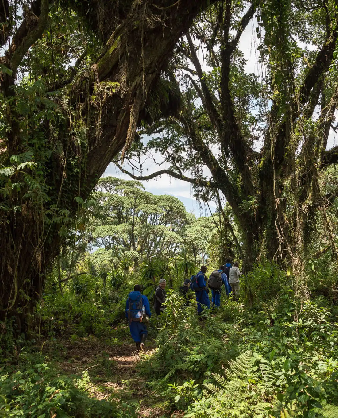 Is Rwanda  Safe to Travel?