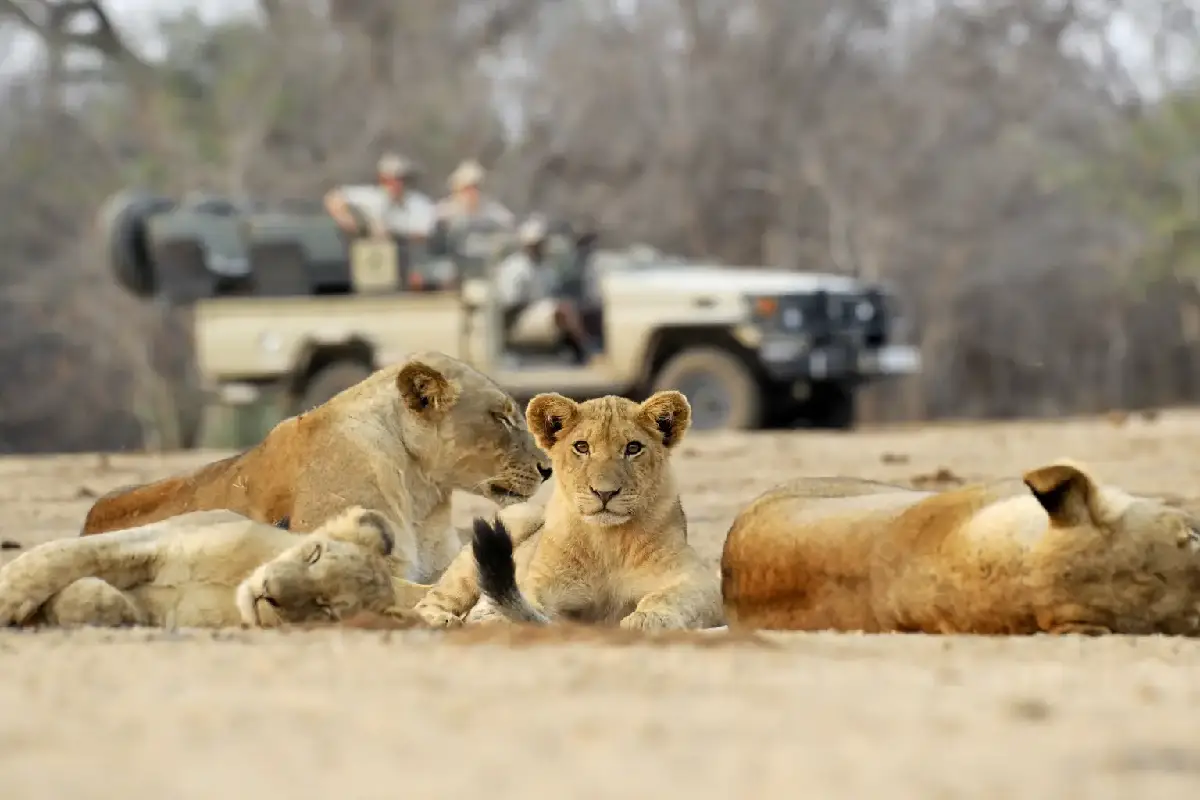 Is Uganda Safe To Travel