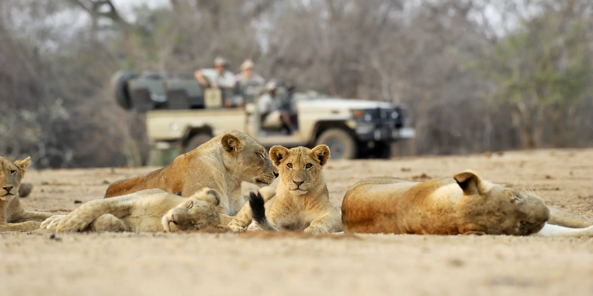 Is Uganda Safe to Travel