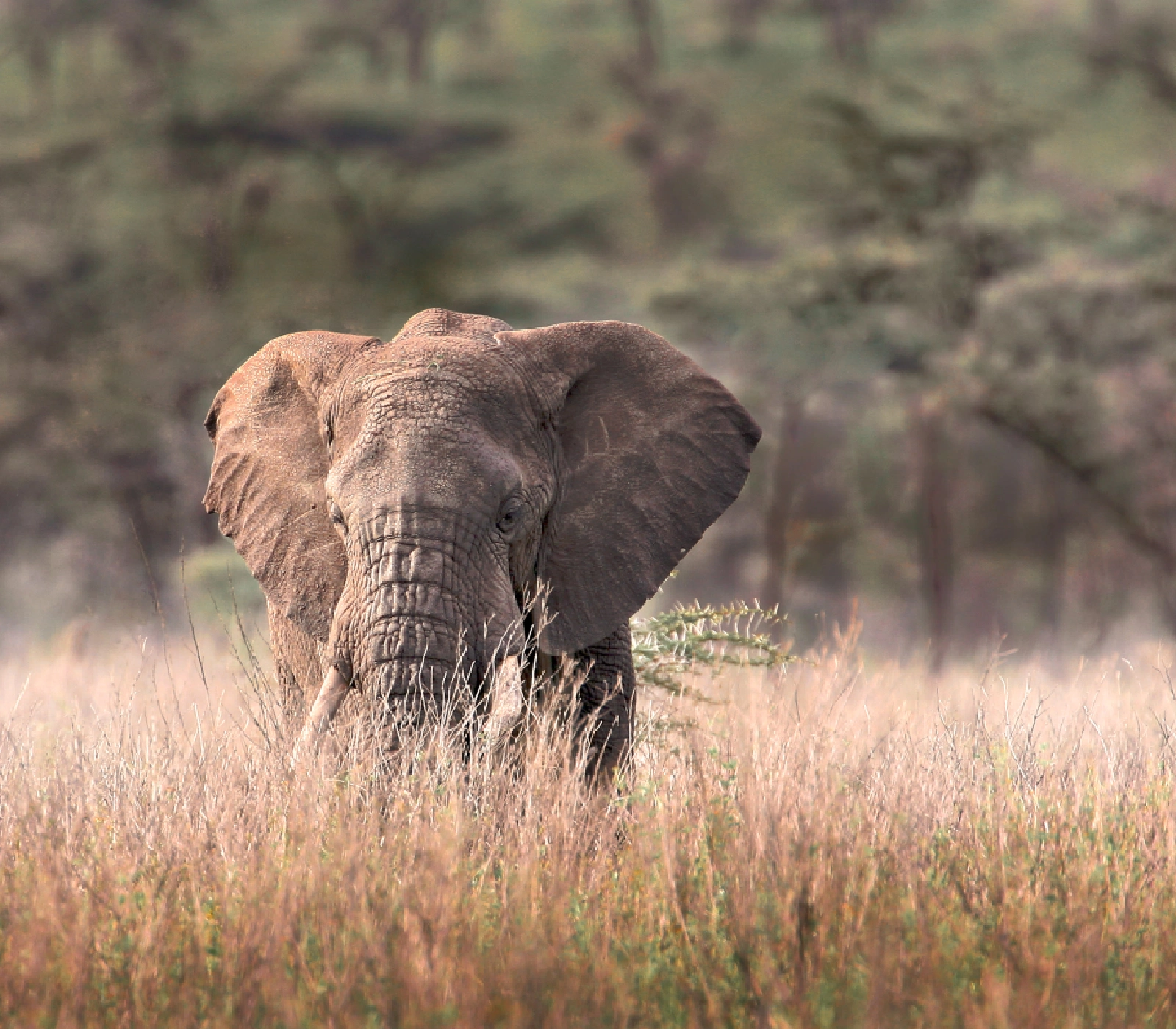 Kenya Destinations Attractions