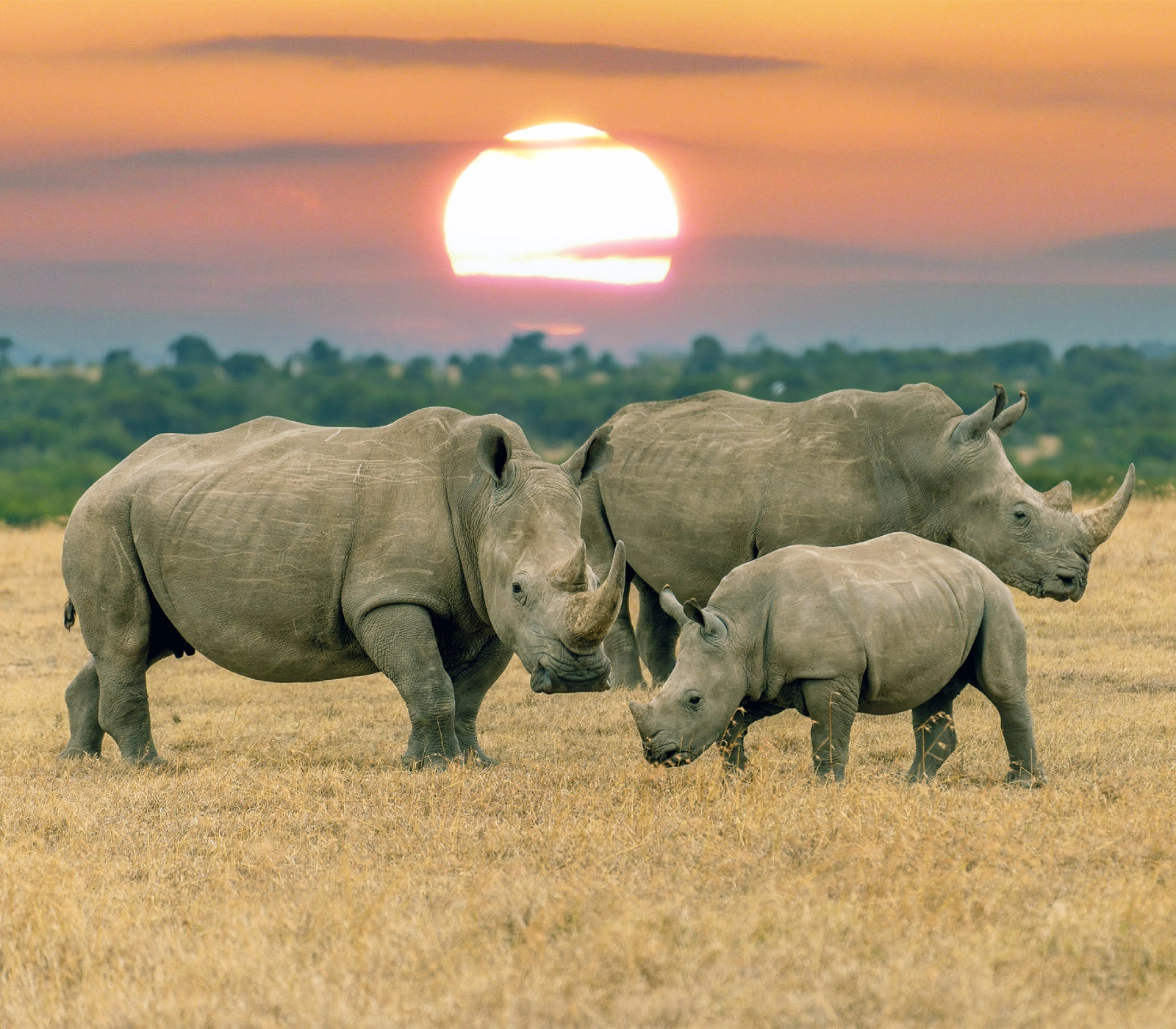 Kenya Destinations Attractions