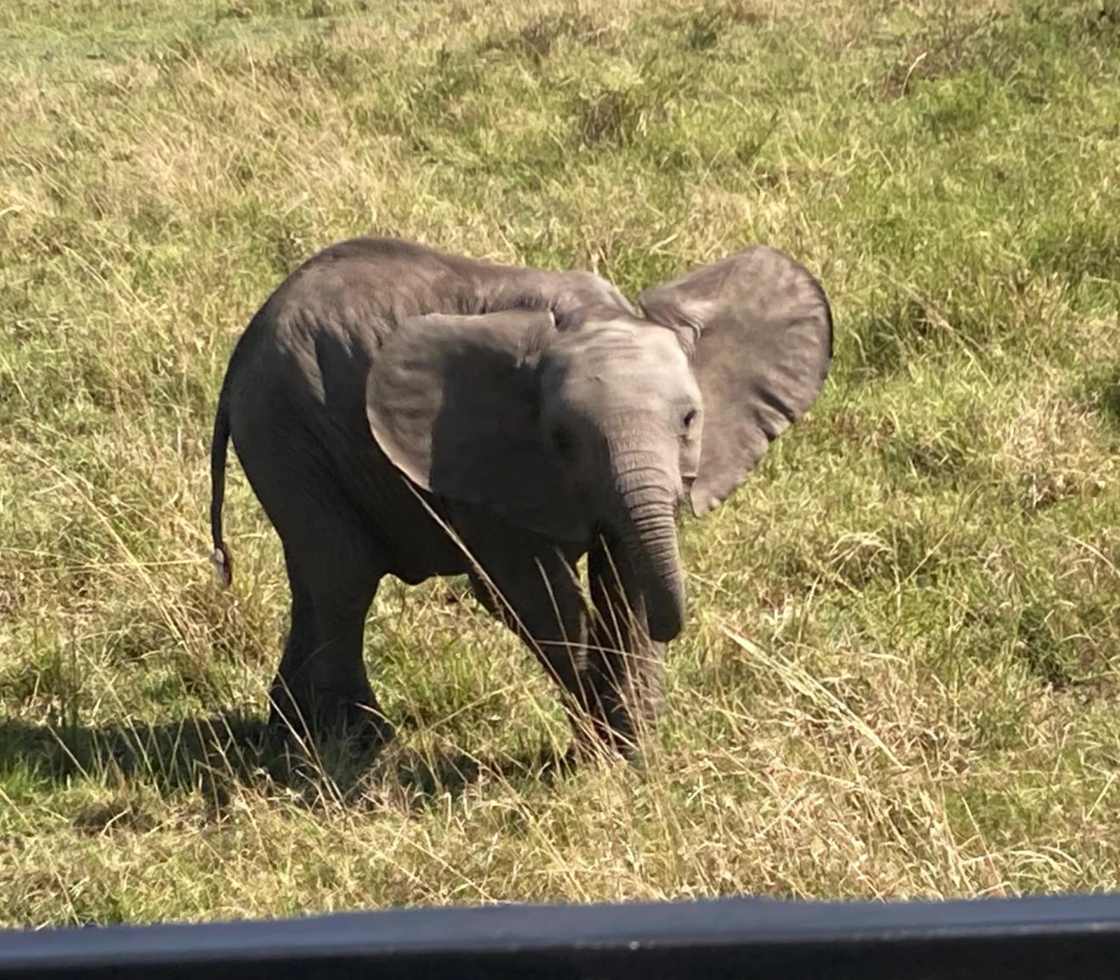 Kenya Destinations Attractions