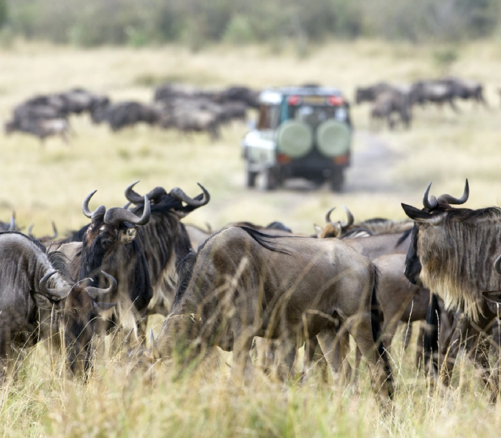 Kenya Destinations Attractions