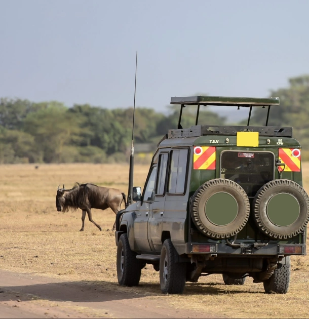  When to visit Kenya Destinations