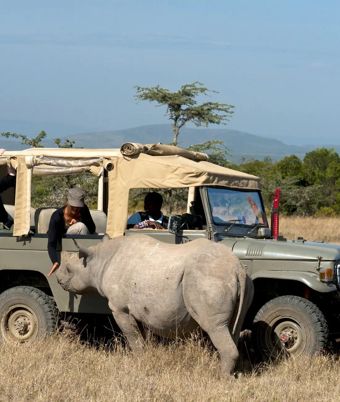 Related Kenya Guide Kenya Safari Cost