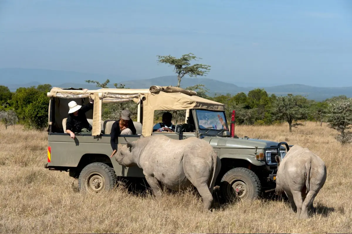 Kenya Travel Guide Tanzania Travel Guide