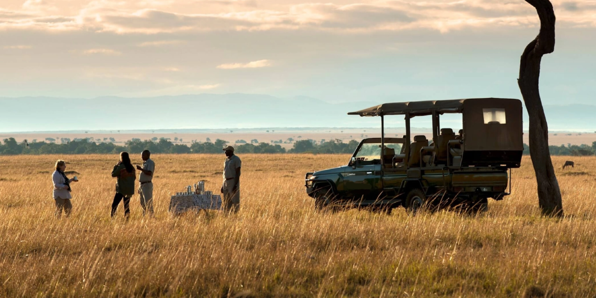 Kenya Safaris