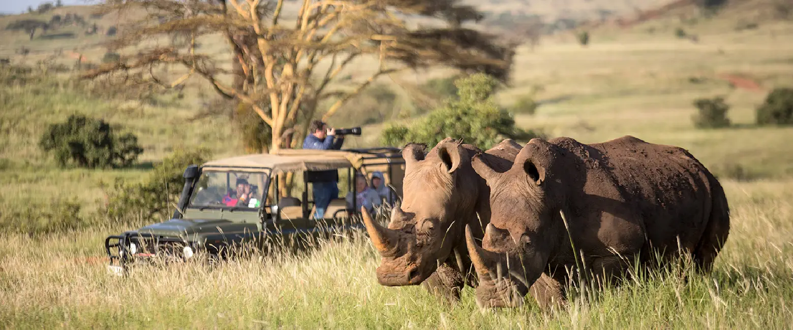 Kenya Game Drives