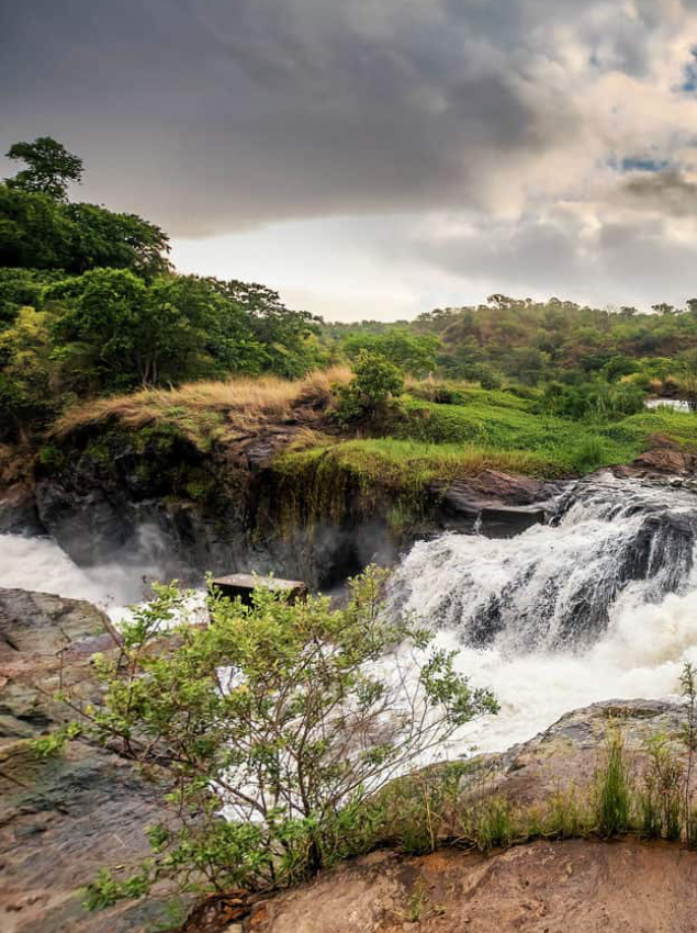 Kibale National Park Dry Season