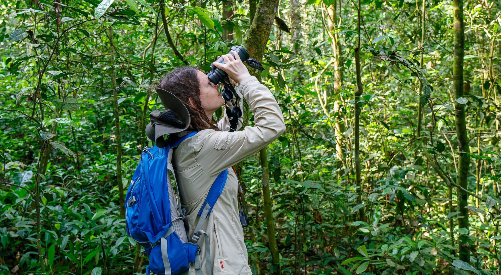 Get To Kibale National Park