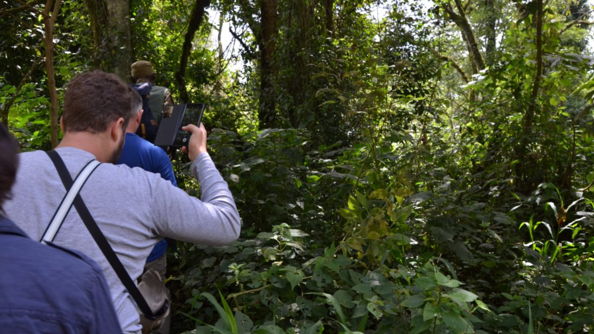 Kibale National Park Attractions