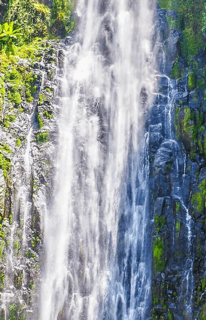 Day Hikes and Waterfall Excursions