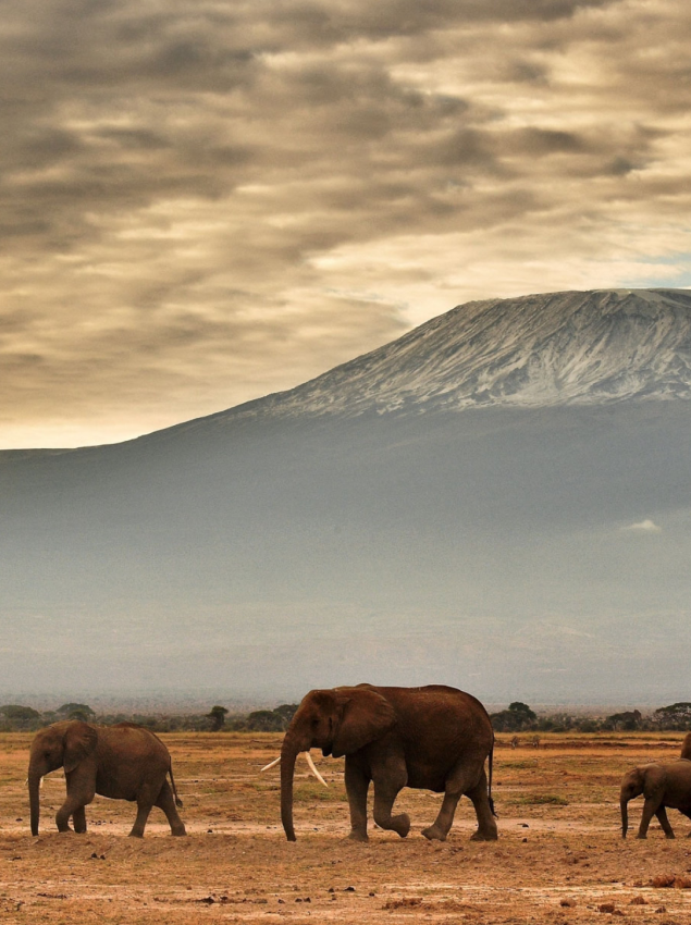Dry Season in Kilimanjaro National Park