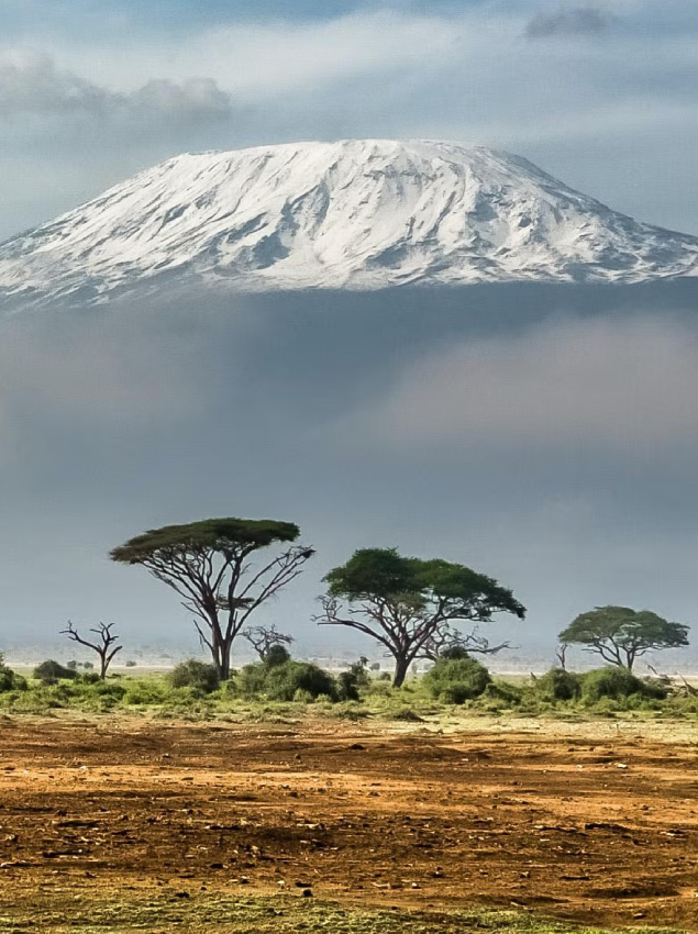 Wet Season in Kilimanjaro National Park